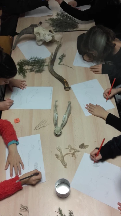 Sortie scolaire : sur les traces des animaux ! - app.name