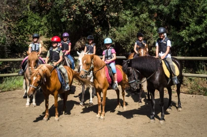  Pégase Course for Children Aged 8 and Up – Lessons and Learning at the Dramont Pony Club, Saint-Raphaël - Expérience Côte d'Azur