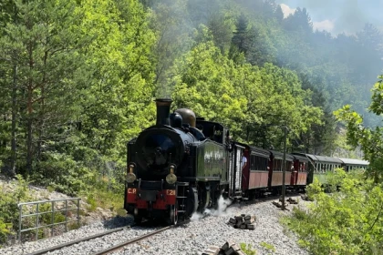 Train des Pignes - Coach excursion - Expérience Côte d'Azur
