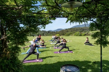 Vinyasa yoga session in the heart of a vineyard - Expérience Côte d'Azur