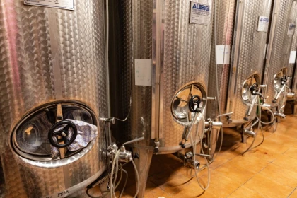 Guided tour of the estate - Jas des Oliviers - Expérience Côte d'Azur