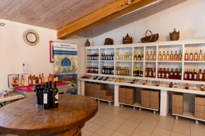 Guided tour of the estate - Jas des Oliviers - Expérience Côte d'Azur