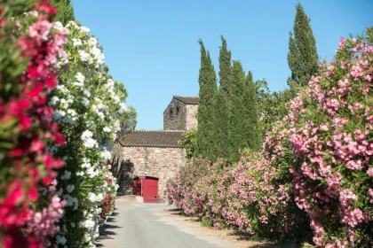 Cellar Tour and Tasting of Wines and Local Products - Expérience Côte d'Azur