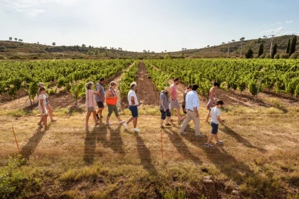 Cellar Tour and Tasting of Wines and Local Products - Expérience Côte d'Azur