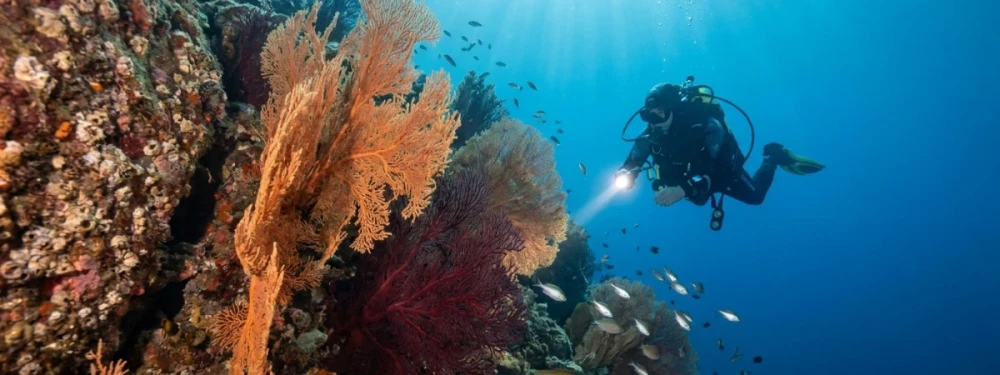Scuba diving in Saint-Raphaël on the French Riviera