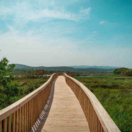 Balade naturaliste aux étangs de Villepey à Fréjus