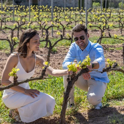 Wine tasting experience in a Provençal vineyard during a wine tour