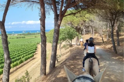 ALT: Horse riding through the vineyards of Ramatuelle near Saint-Tropez