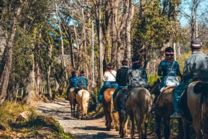 Horse riding through the vineyards of Grimaud on the French Riviera