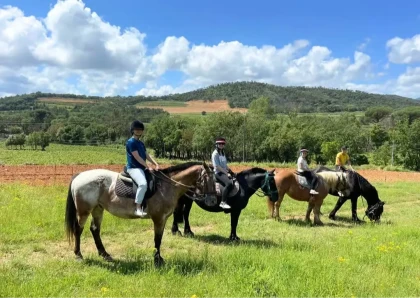 Scenic horse riding on the French Riviera