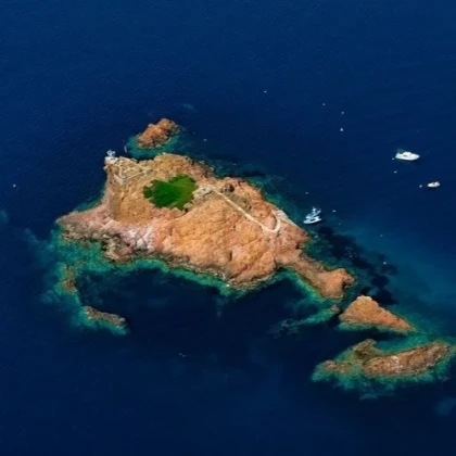 Scuba diver exploring the Lion de Mer dive site in Saint-Raphaël