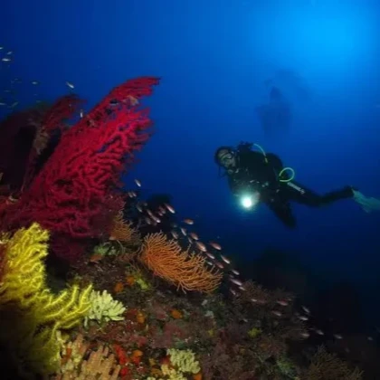 Scuba diving at Le Dramont near Saint-Raphaël