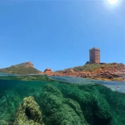 Underwater rock formations at Les Pyramides du Dramont dive site