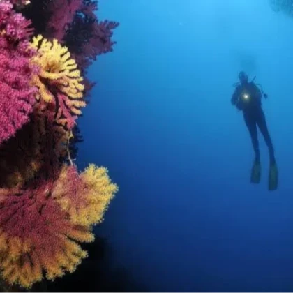 Scuba diving at Le Village du Dramont underwater site