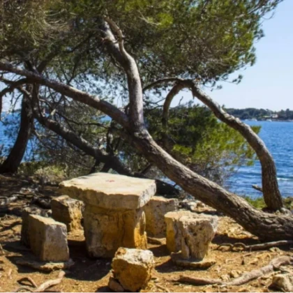 Picnic area under pine trees on Sainte-Marguerite Island