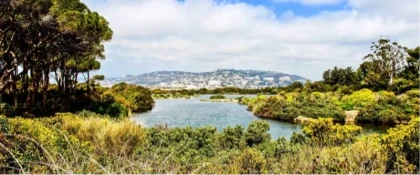 Batéguier Pond bird reserve on Sainte-Marguerite Island