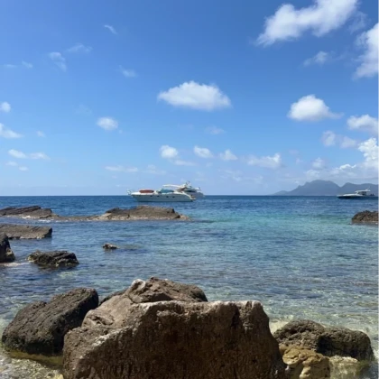 Snorkeling in the crystal-clear waters of Sainte-Marguerite Island