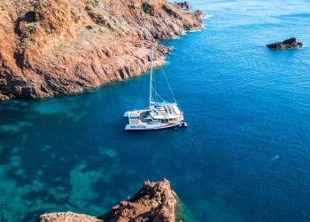 Sorties bateau - app.name