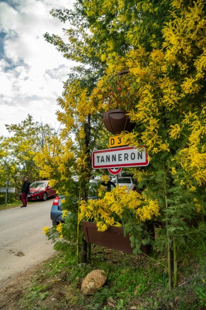  - Expérience Côte d'Azur