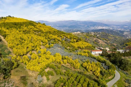  - Expérience Côte d'Azur