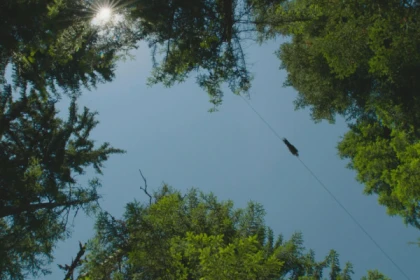 Zipline "La Colmiane" BEST OFFER - Expérience Côte d'Azur