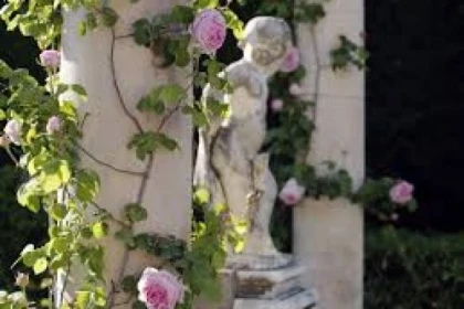 Fête de la Rose à la Villa Ephrussi de Rothschild - app.name