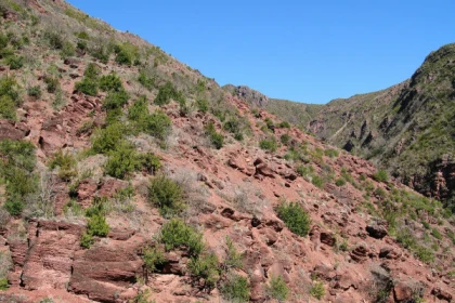 Gorges du Cians - Excursion Autocar - app.name