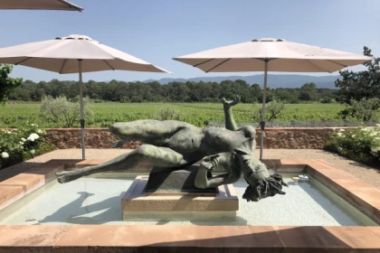 Full day wine tour in Coeur du Var - Expérience Côte d'Azur