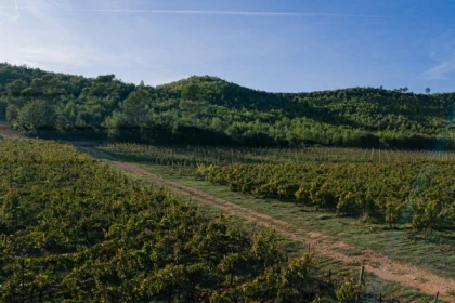 Private tour in Dracénie - Expérience Côte d'Azur