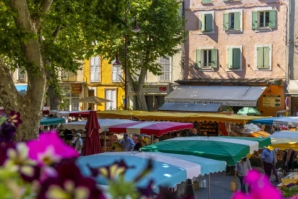 Marché de Riez et Gréoux les Bains - Excursion en Autocar - app.name
