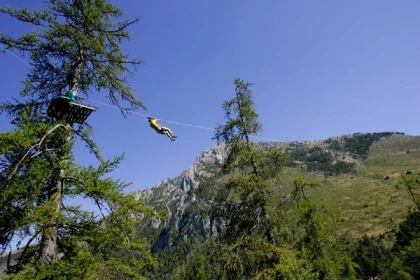 Colmiane Forest Adventure course - BEST OFFER - Expérience Côte d'Azur