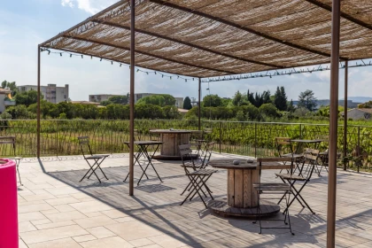 Tasting Plancha: sunset with a view of the vineyards - Expérience Côte d'Azur