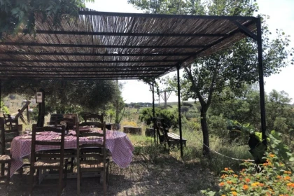 Private picnic at the winery - Expérience Côte d'Azur