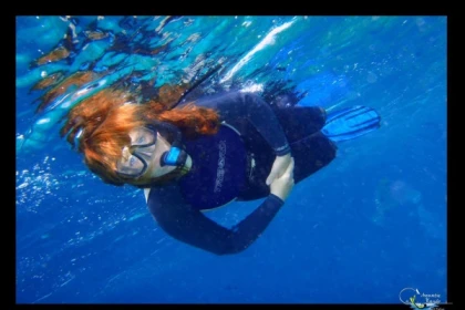 * Randonnée palmée autonome - app.name