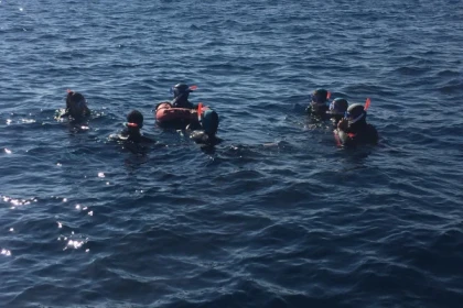 Snorkeling and boat ride - Expérience Côte d'Azur