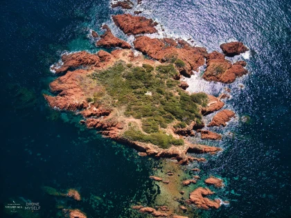 Saint-Raphaël : Snorkeling guidé au Cap Roux - Réserve - app.name