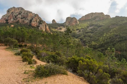 Outing Mont Vinaigre with an NFO partner - Expérience Côte d'Azur