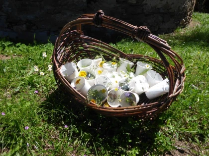 School Nature Outing: The Story of Flowers! - Expérience Côte d'Azur