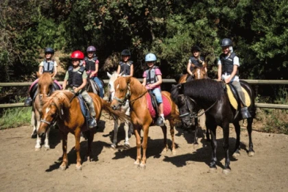 Horseback riding : Pegasus - Expérience Côte d'Azur