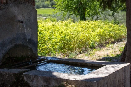 Guided tour of the village of Fayence - Expérience Côte d'Azur