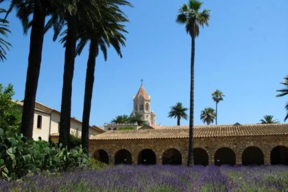 Guided visit Saint Honorat Island - cannes - Expérience Côte d'Azur