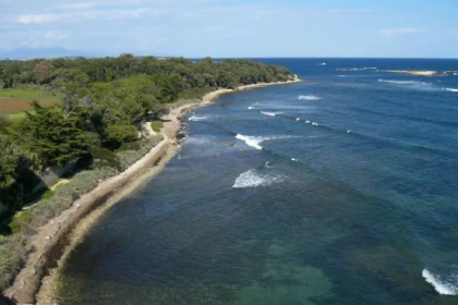 Guided visit Saint Honorat Island - cannes - Expérience Côte d'Azur