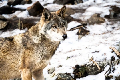 Guided tour of Parc Alpha - Expérience Côte d'Azur