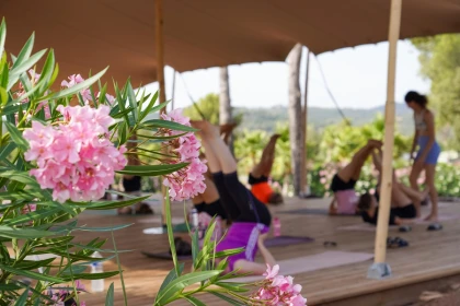 Yoga & healthy eating retreat in Saint-Raphaël - Expérience Côte d'Azur