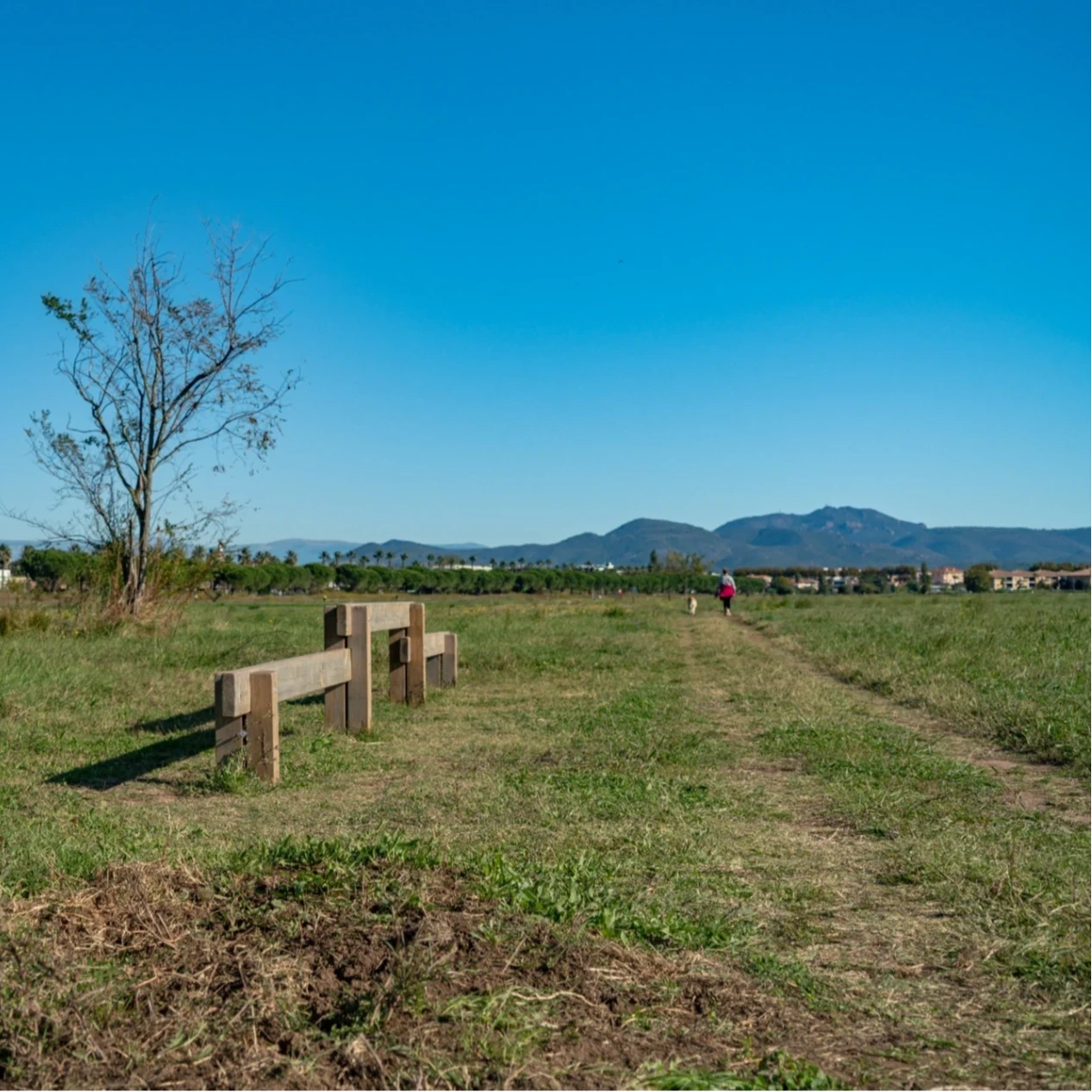 carpark base nature Fréjus