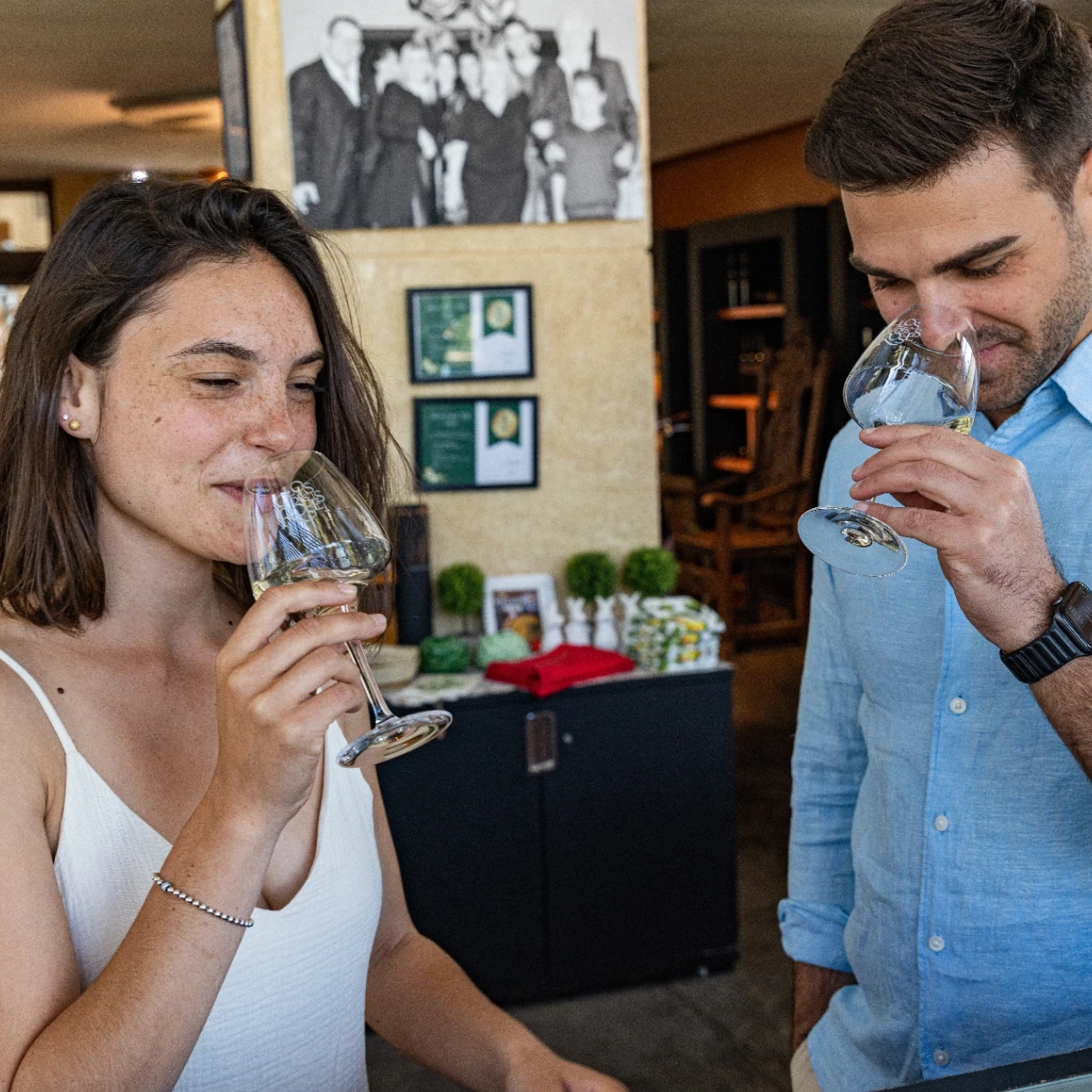 Guided wine tour in a Provence vineyard discovering local winemaking