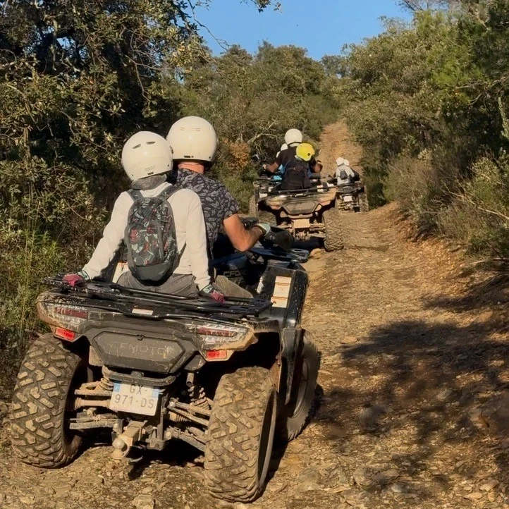 Driving quad vineyard