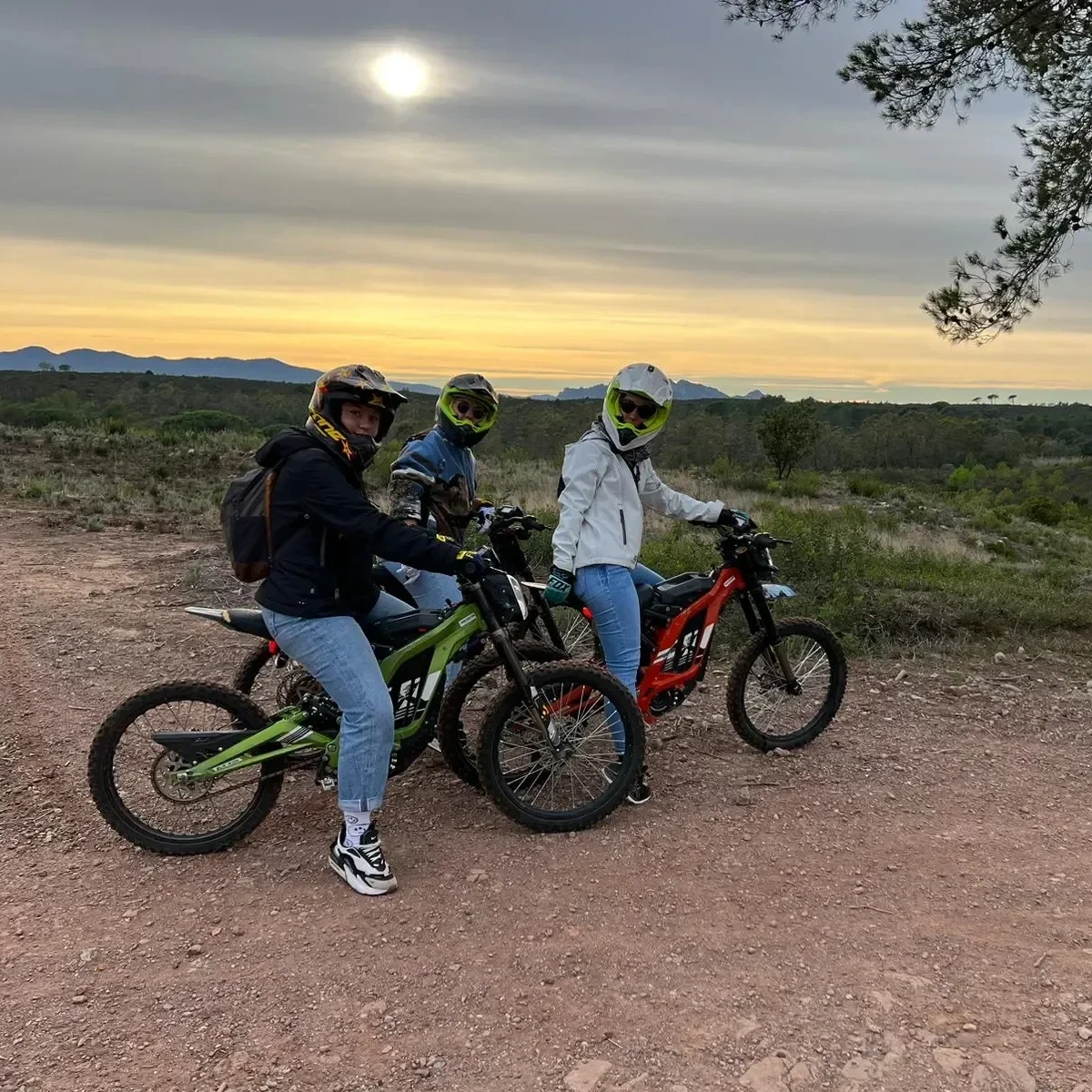 Off-road electric motorbike Var