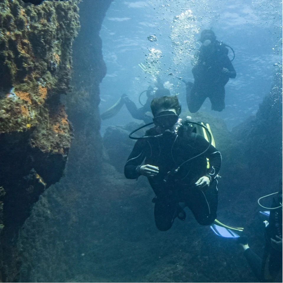 Underwater diving Ile d'Or