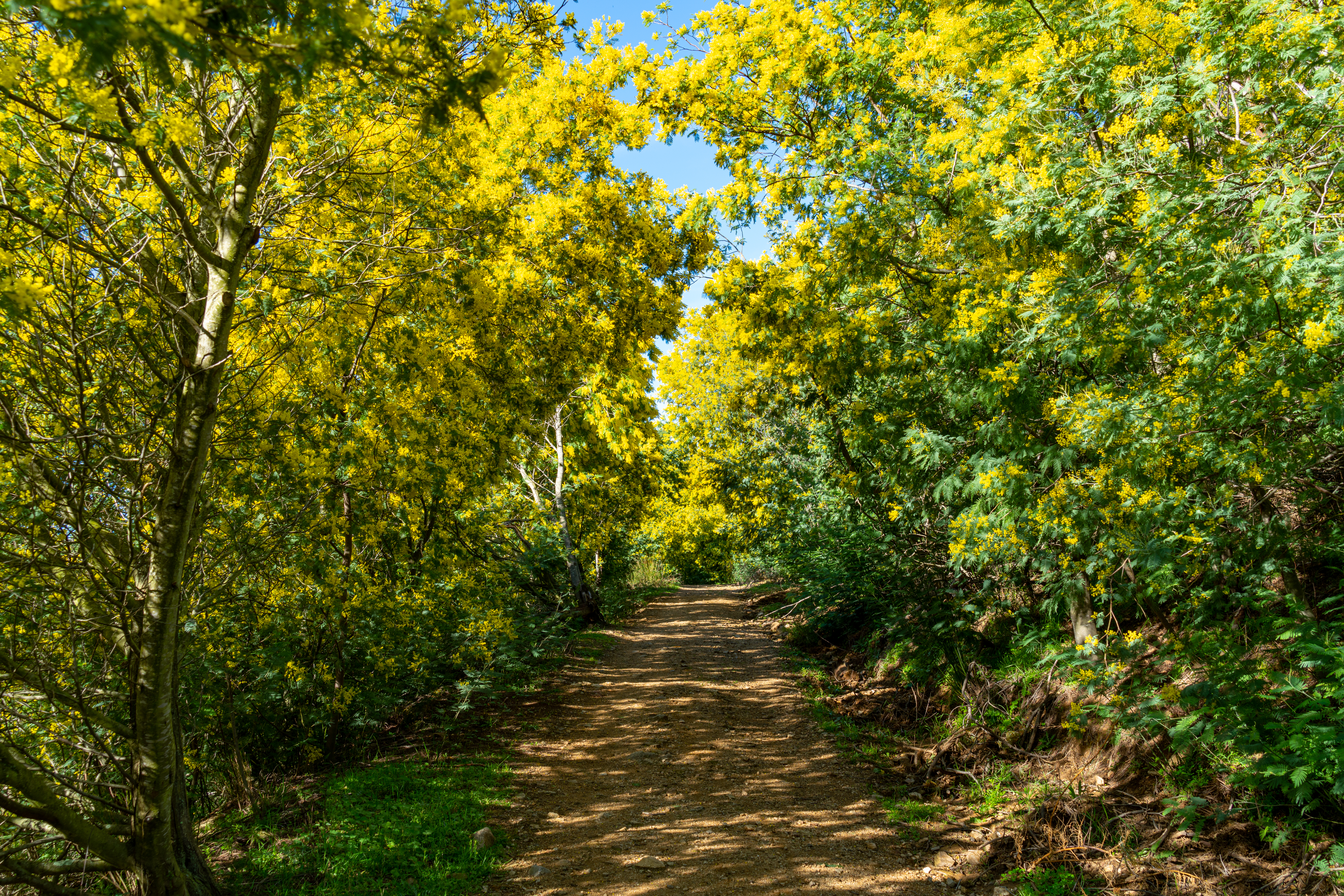  - Expérience Côte d'Azur